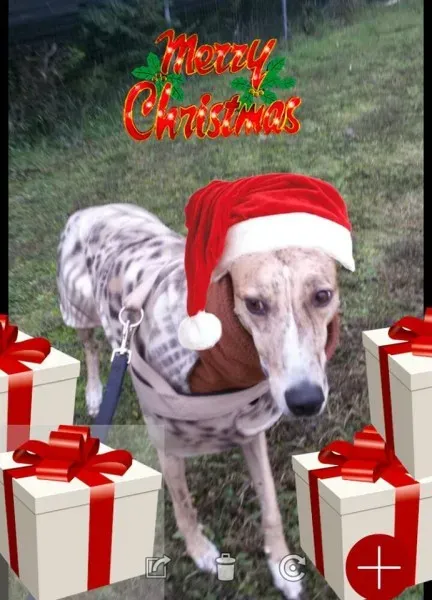 2001 1679851852255212 3201293431108480356 n