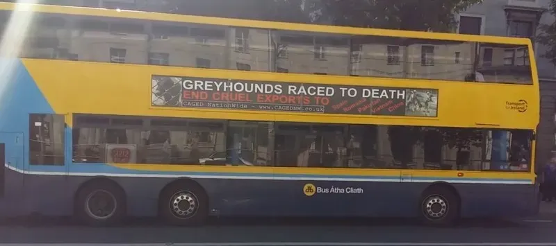 20024007 1390537357721062 8215571945841088866 o