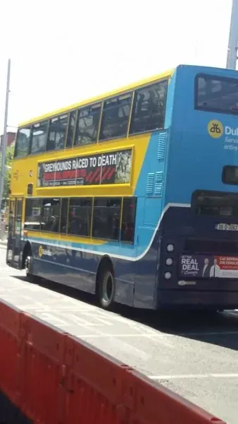 20045757 1390157491092382 4417350451183172223 o