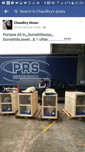 20046381 1386369368137861 8887098486315006737 n 1