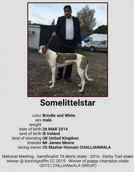 20046505 1386370278137770 3471162329349369464 n