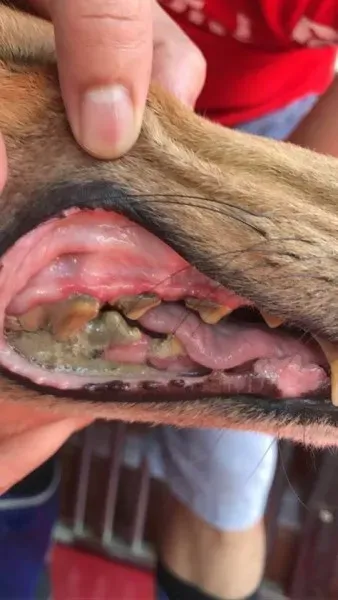 20046558 1946592732296897 7008918946255255687 n Copia