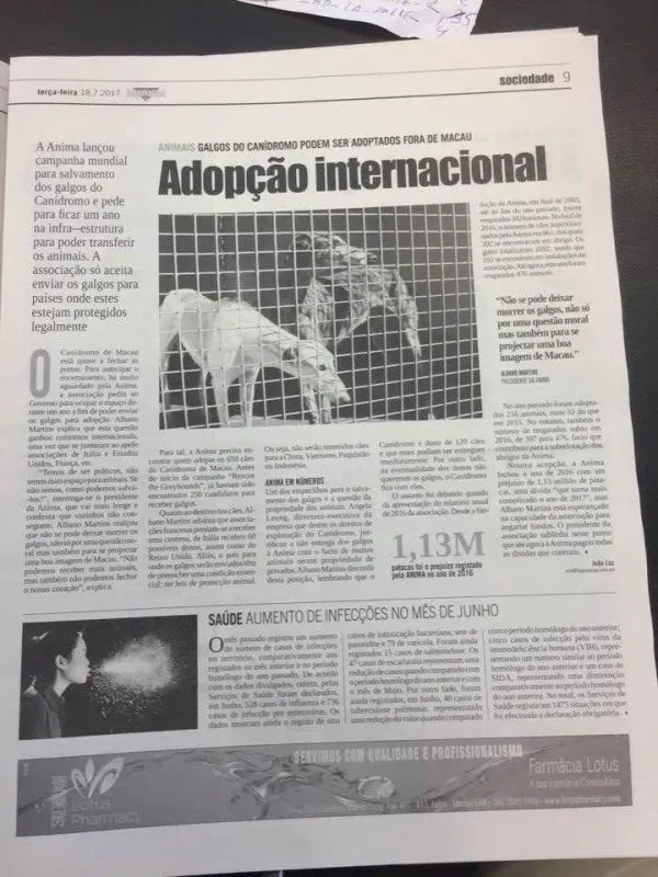 20046809 1237261849741842 8515355575396339590 n e1500383096354