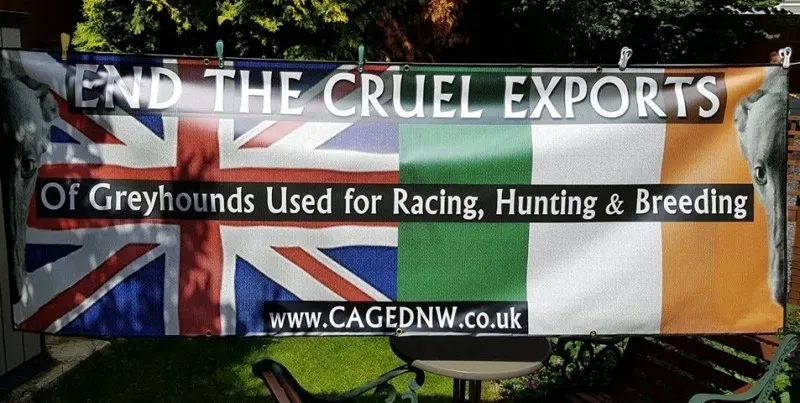 20116839 1668546503191805 6257526877888457942 o