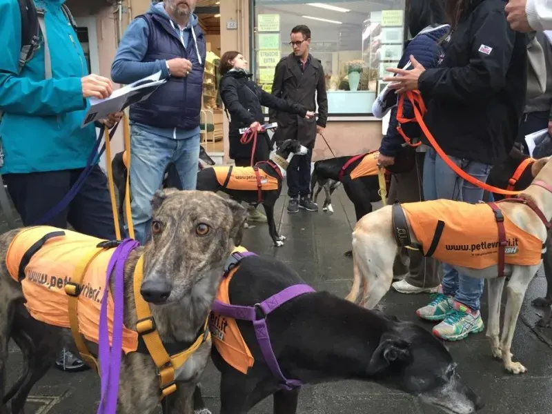 20130 821754347908422 1572053213578761480 n