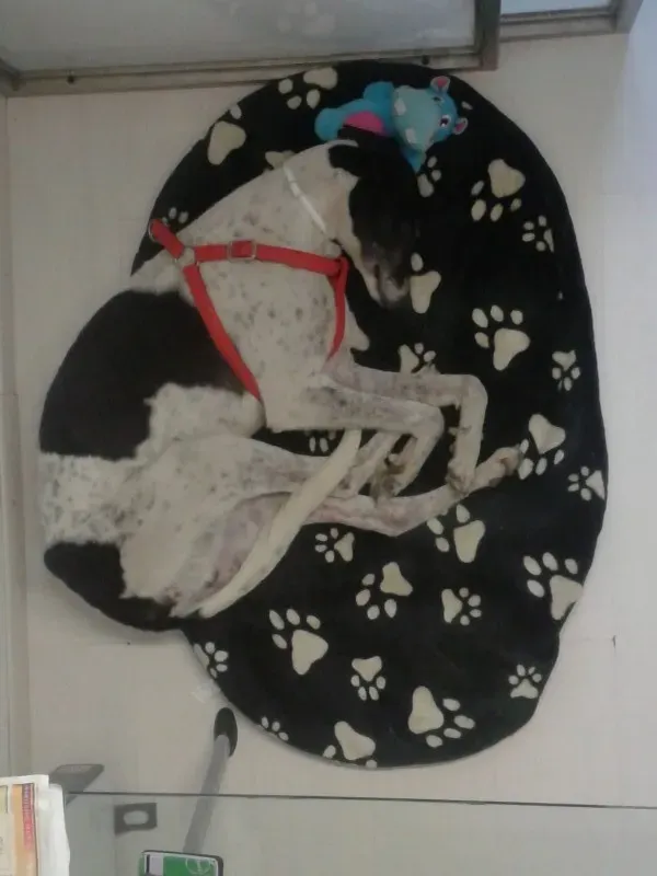 2014 04 01 18.13.20 e1400848461677