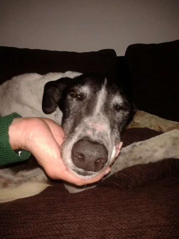 2014 04 03 22.22.32 e1400848474931