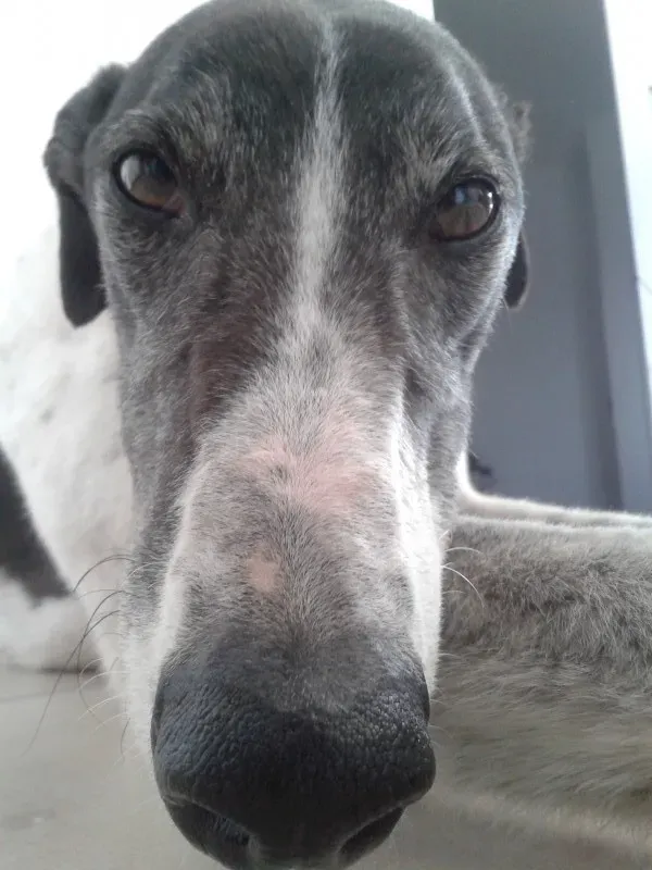 2014 04 13 14.31.14 e1400848494764