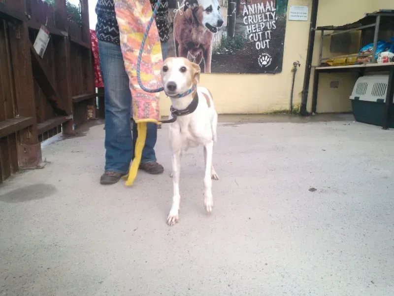 2014 11 25 14.48.19 1