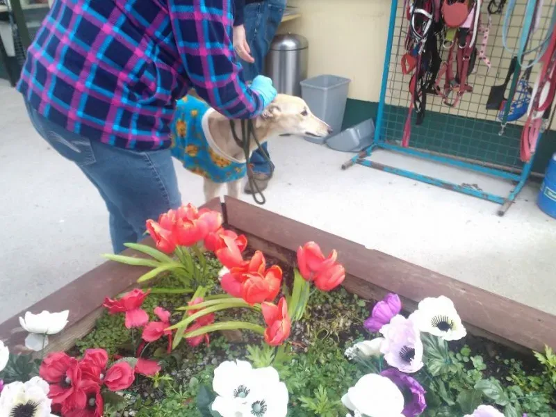 2014 11 25 14.48.19 2