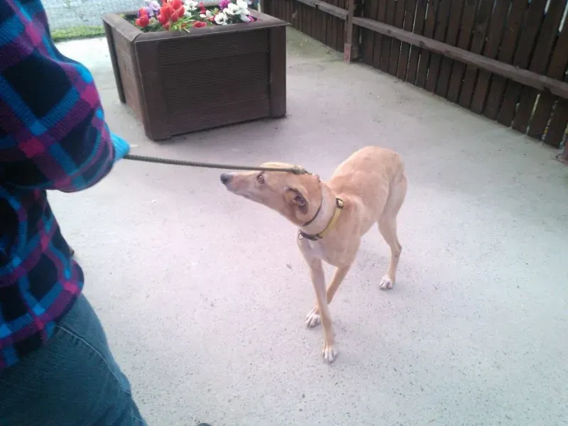 2014 11 25 14.48.20 1