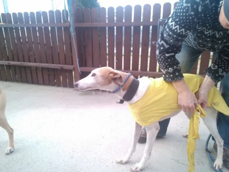 2014 11 25 14.48.20 2