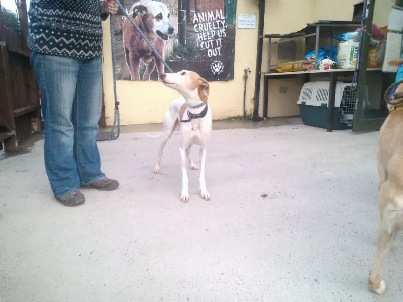 2014 11 25 14.48.20 3