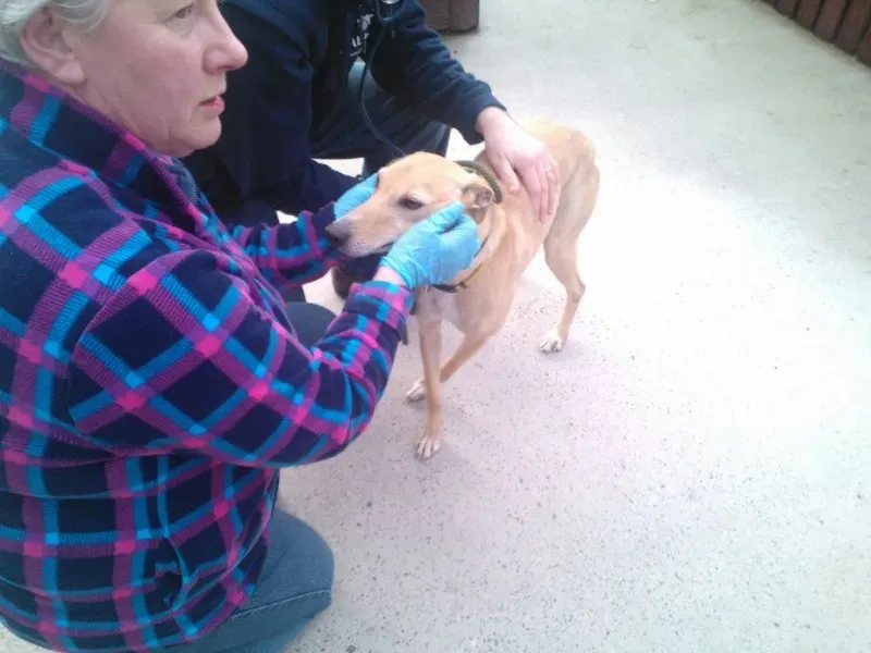 2014 11 25 14.48.20 4