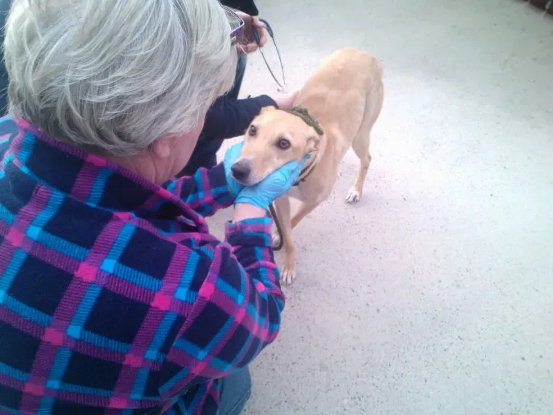 2014 11 25 14.48.21 2