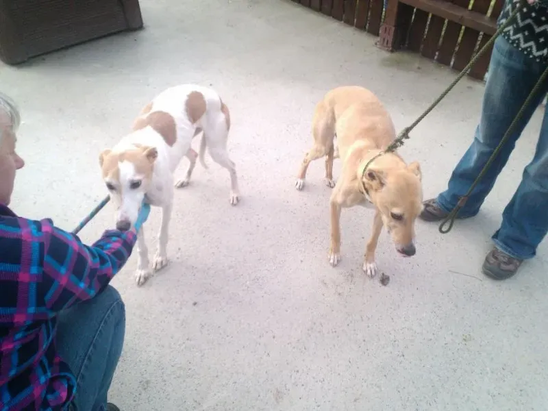 2014 11 25 14.48.22 1