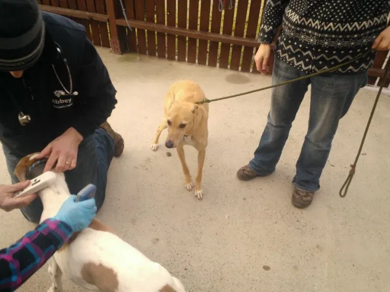 2014 11 25 14.48.22 2