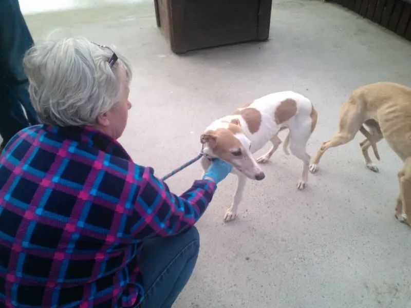 2014 11 25 14.48.23 1