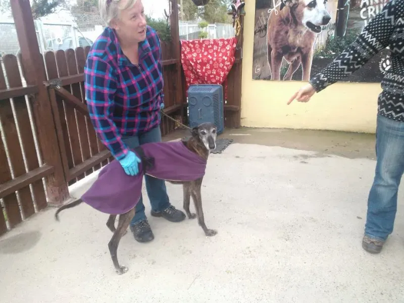 2014 11 25 14.48.23 2