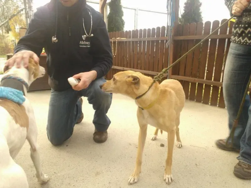 2014 11 25 14.48.23 3