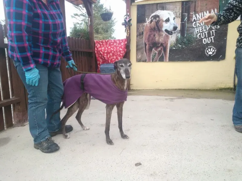 2014 11 25 14.48.24 1