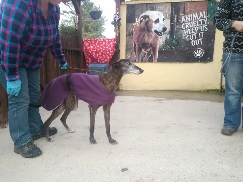 2014 11 25 14.48.24 2