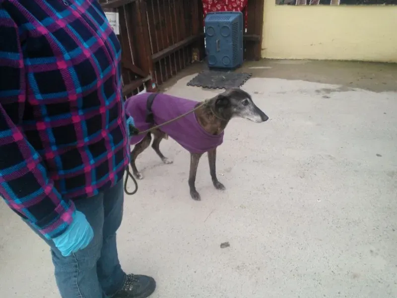 2014 11 25 14.48.24 3