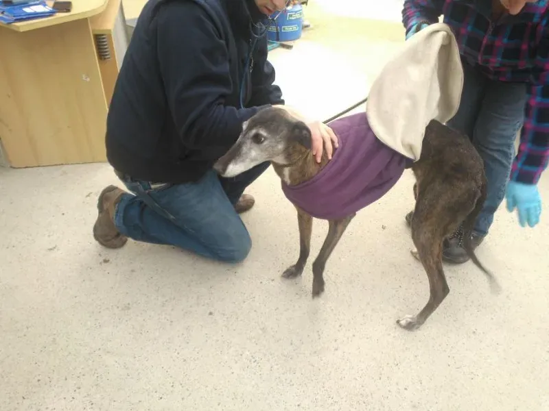 2014 11 25 14.48.25 1