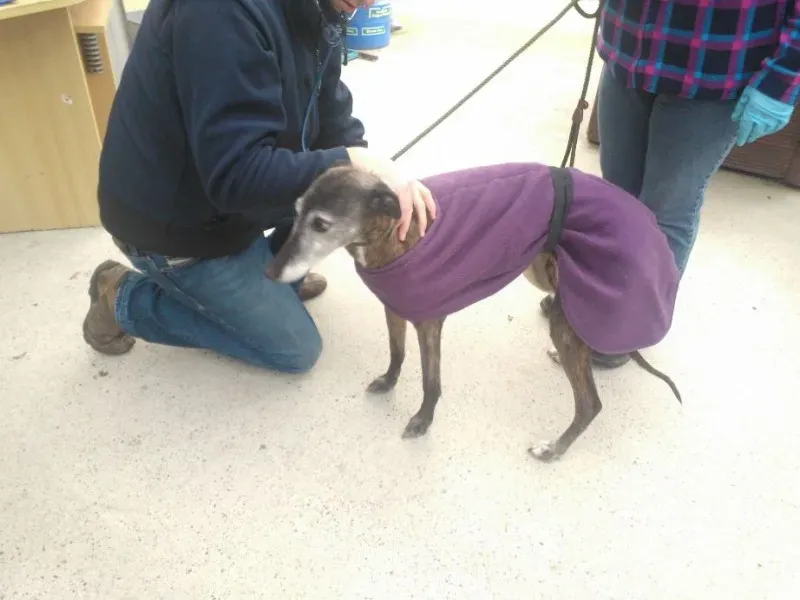 2014 11 25 14.48.25 2