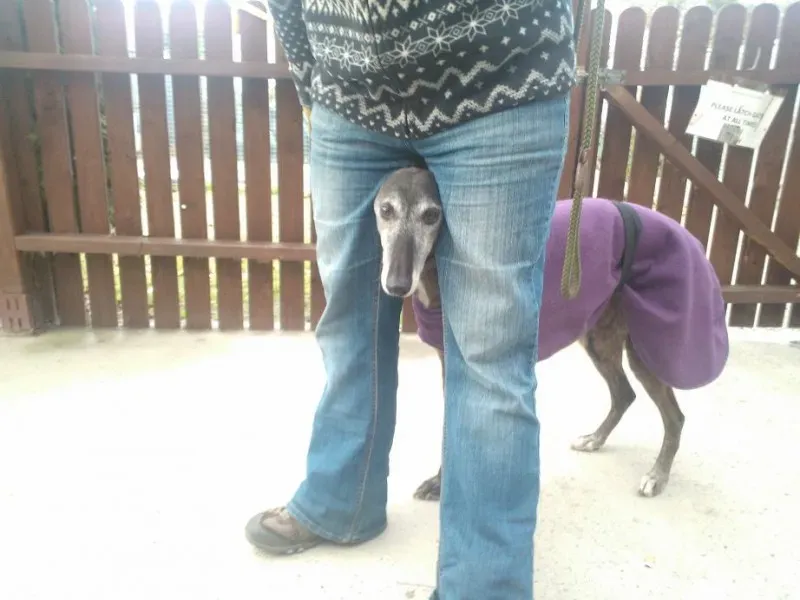 2014 11 25 14.48.25 3