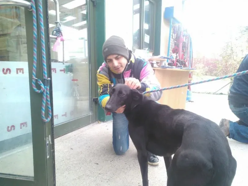 2014 11 25 14.48.25 4