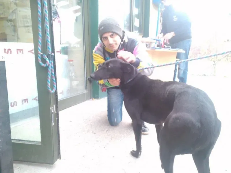 2014 11 25 14.48.25 5