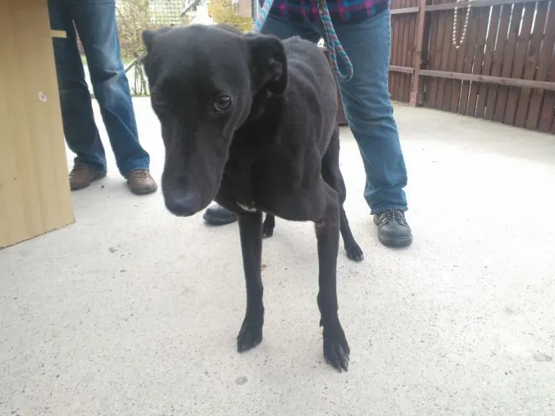 2014 11 25 14.48.26 1