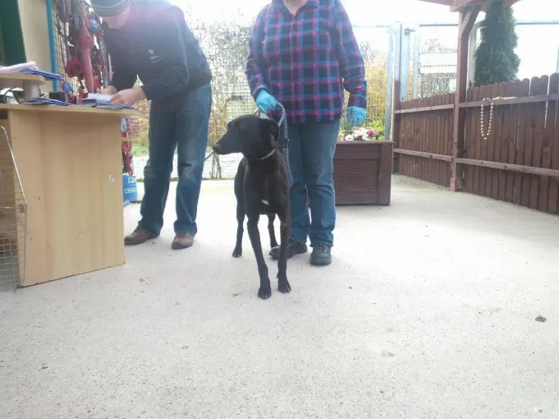 2014 11 25 14.48.26 2