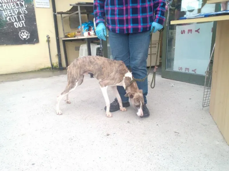 2014 11 25 14.48.27 1