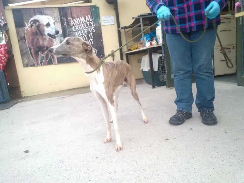 2014 11 25 14.48.27 2