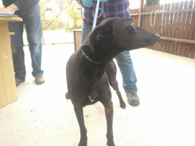 2014 11 25 14.48.28 1