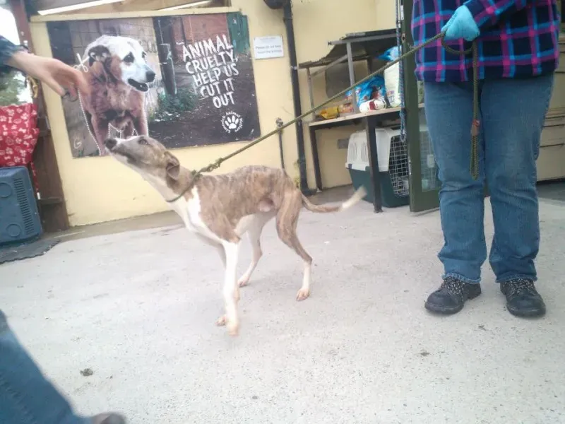 2014 11 25 14.48.28 2