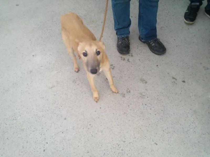 2014 11 25 14.48.28 3