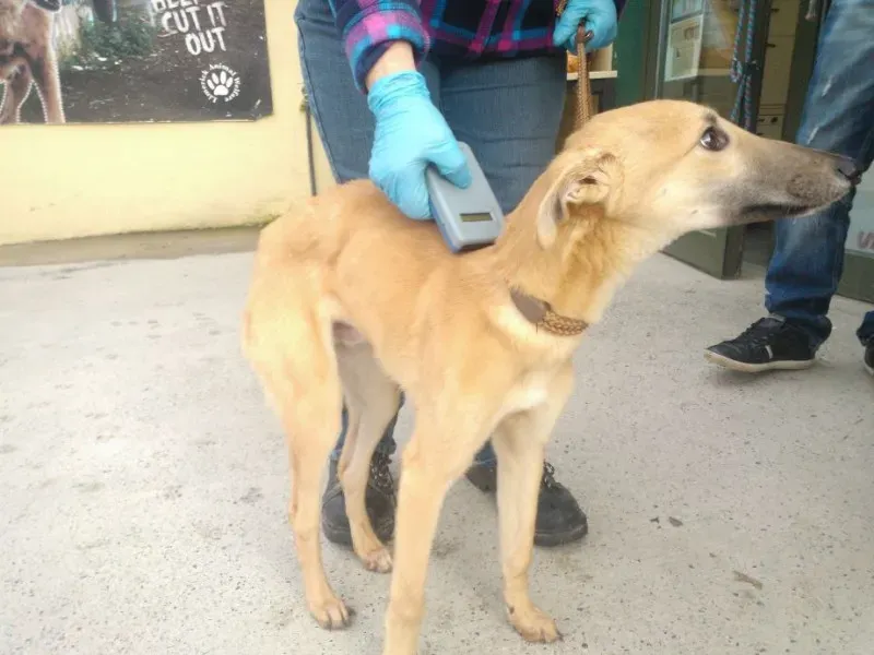 2014 11 25 14.48.29 1