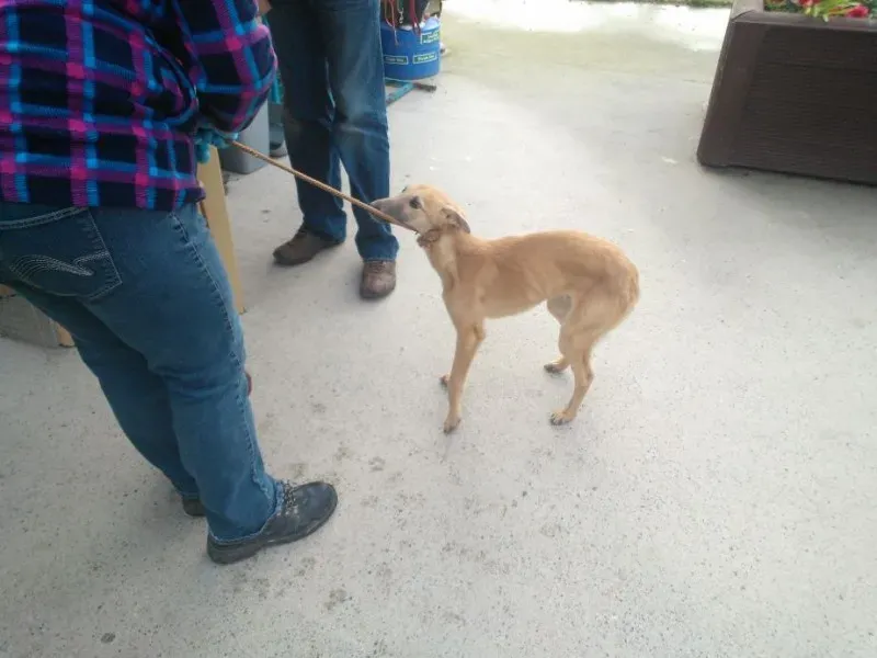 2014 11 25 14.48.29 2