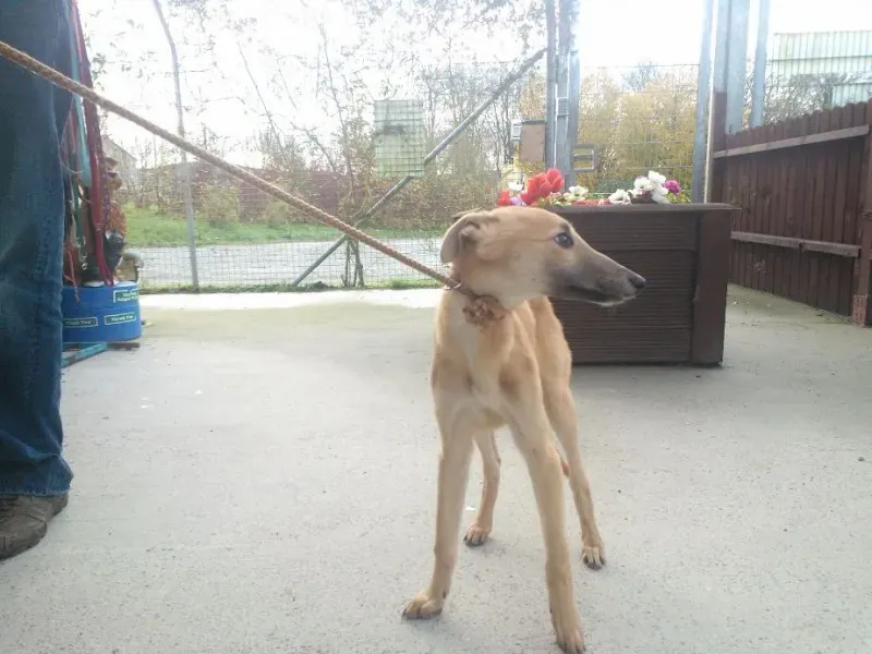 2014 11 25 14.48.29 3