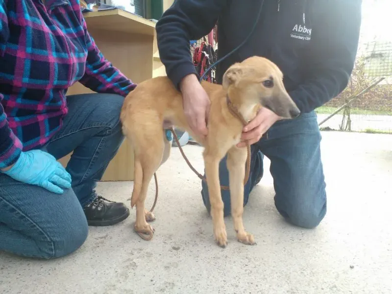 2014 11 25 14.48.32 1