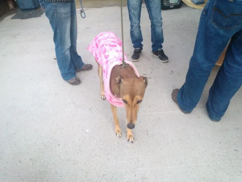 2014 11 25 14.48.32 2