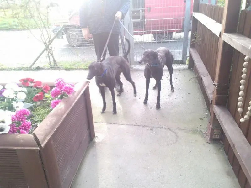 2014 11 25 14.48.32 3