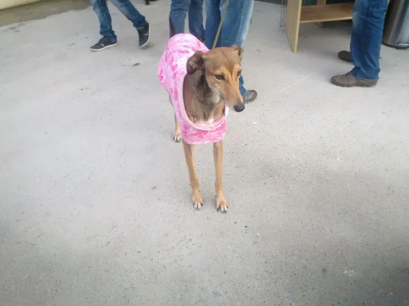 2014 11 25 14.48.33 1