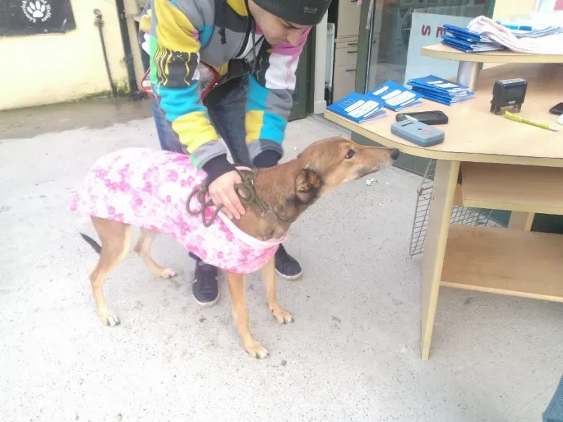 2014 11 25 14.48.33 2