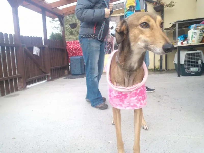 2014 11 25 14.48.33 3