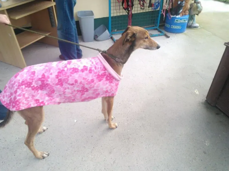 2014 11 25 14.48.34 1