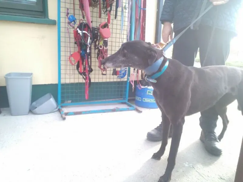 2014 11 25 14.48.34 2